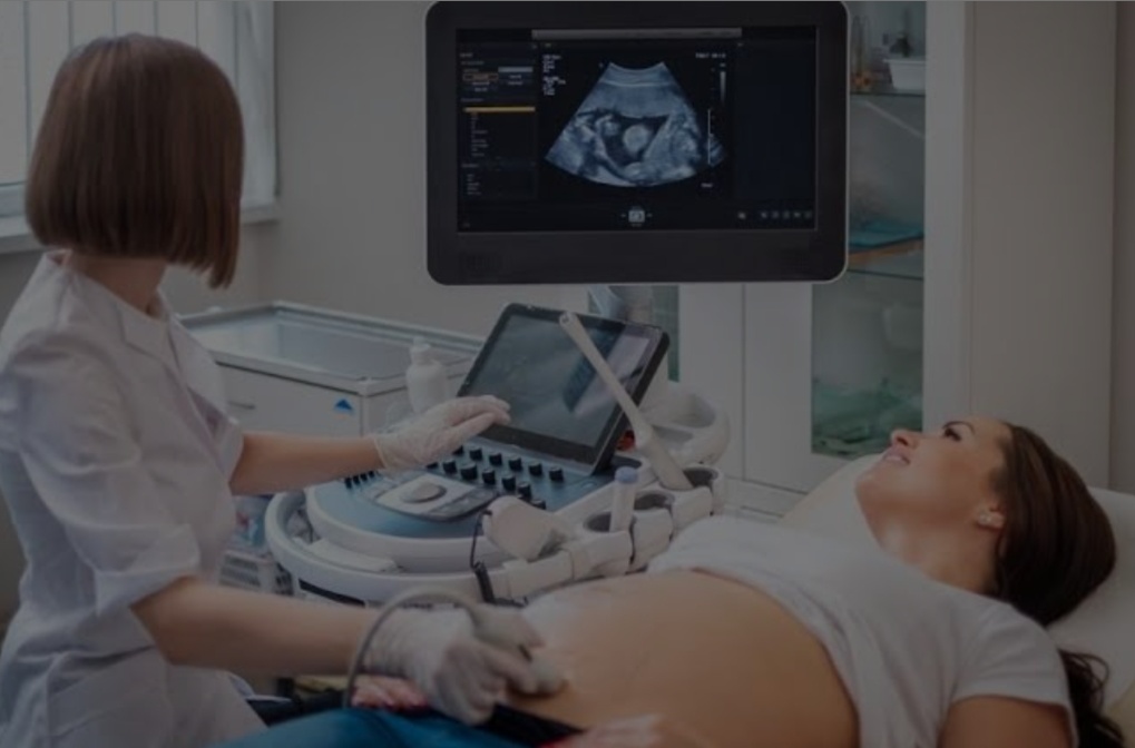 cduog-certificate-course-of-color-doppler-ultrasound-in-obsgynae